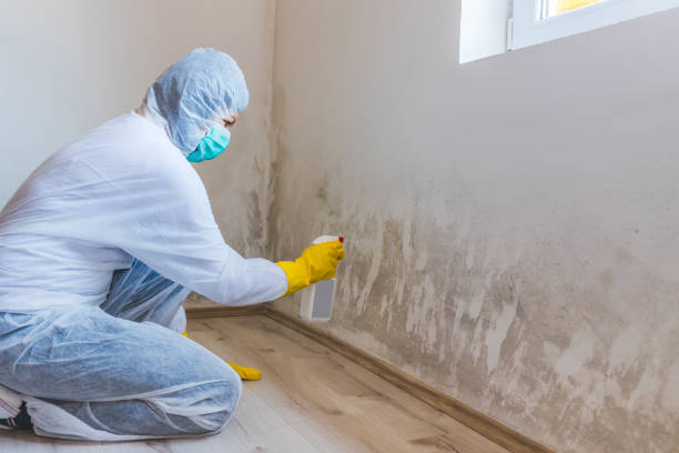 Bathroom Mold Removal assessment in Dayton bathroom